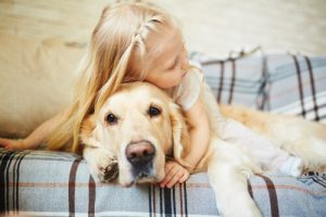 Advarsel: Derfor må du ikke kramme din hund!