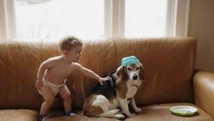 Barn skriver brev til sin afdøde hund og får svar