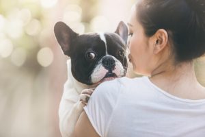 Brev fra en adopteret hund til sin ejer