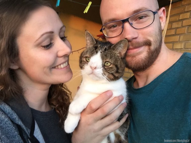 Kat med downs syndrom