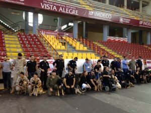 Derfor bør du overveje at adoptere en pensioneret politihund