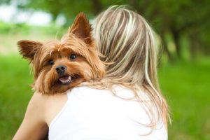 Sådan ved du, at din hund virkelig elsker dig
