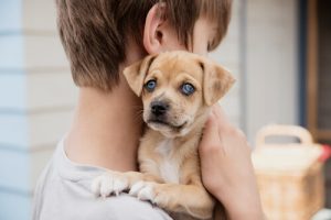 Hunde kan hjælpe børn med astma