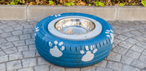 Sådan laver du en hjemmelavet vandskål til din hund