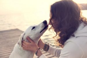 Pas på med at kysse hunden på munden