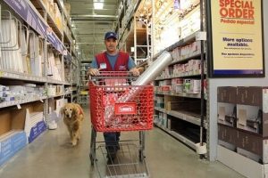 Krigsveteran og servicehund bliver begge ansat i forretning