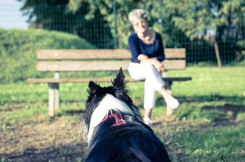 Menneske sidder på bænk
