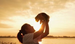 Dyr og ejer kan nu blive begravet sammen