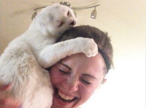 Denne kat hjalp med at fjerne sin ejers angst