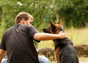 Den bedste gave til hundeelskere