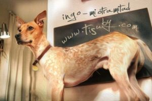 Sangerinde fra Venezuela skriver smuk sang om hunde