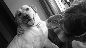 Hund redder epileptisk ejers liv af kærlighed