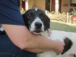 Med dig til verdens ende