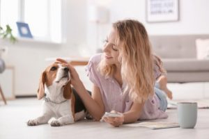 Hunde elsker at blive aet af deres ejer