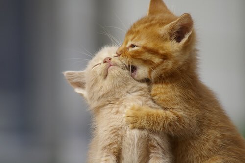 Det er vigtigt at være tålmodig