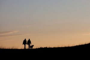 Fyrværkeri fik hunden Bob til at løbe væk