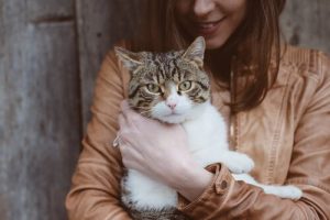 Katte med toksoplasmose
