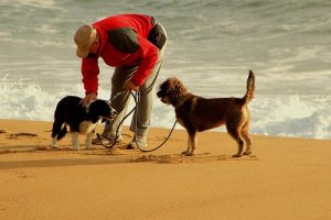 10 tips til at løbe med din hund