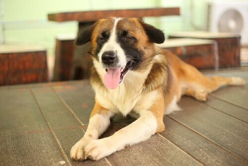 Flyt kun de ting, der kan være farlige