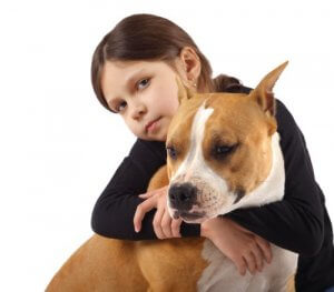 Pitbulls var engang kendt som "barnepigehunde"
