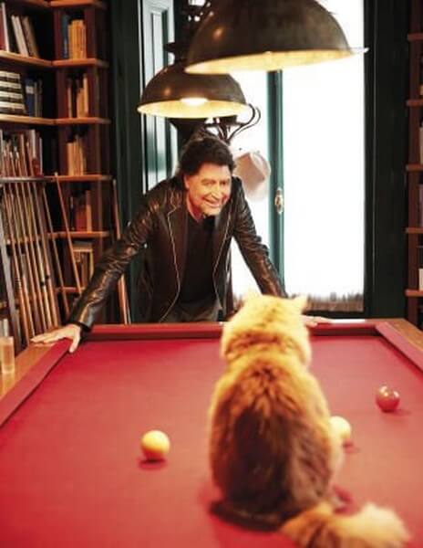 Kat sidder på et poolbord og kigger på Sabina