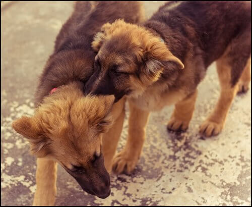 hold godt øje med dem første gang de er sammen