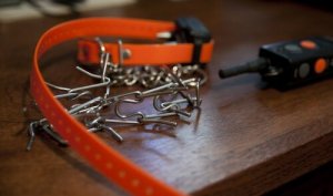 Halsbånd til afstraffelse er en risiko for din hunds helbred