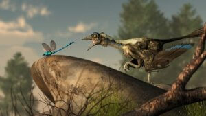 Fuglenes oprindelse: Hvad ved vi om deres udvikling?