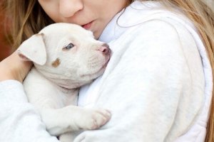Temple Grandin og hendes indvirkning på dyrs velfærd