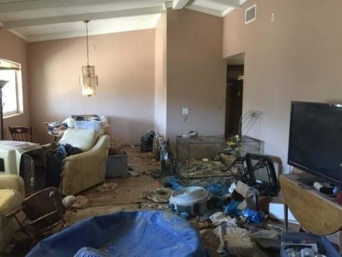 Rodet hus, hvor der blev fundet efterladte pit bulls