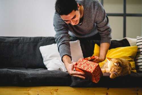 kat, der får en gave