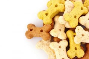Forbudte godbidder til hunde