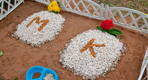 gravsted til kæledyr