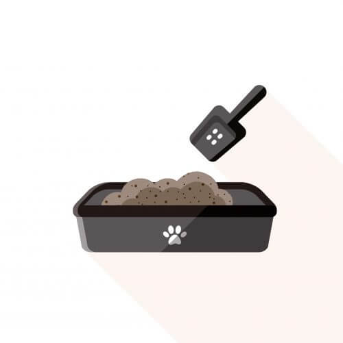 Det er muligt for en hund at bruge en kattebakke