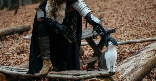 Middelalderen var en hård tid for huskatten