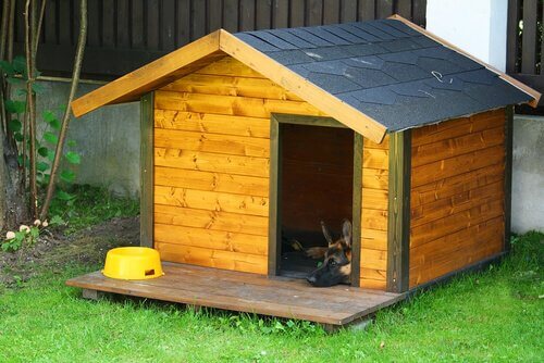 5 tips til at indrette et hundehus til din firbenede ven