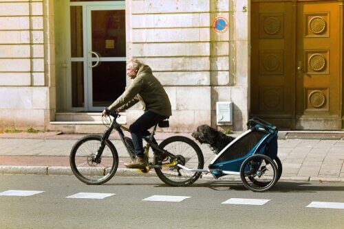 Mand cykler med cykeltrailer til hunde
