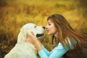 Hvordan behandler hunde ord og kommandoer?