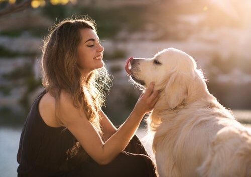 Hund og ejer på stranden ved solnedgang