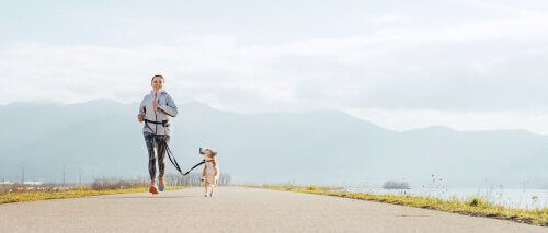 Fordelene ved at løbe med en hund