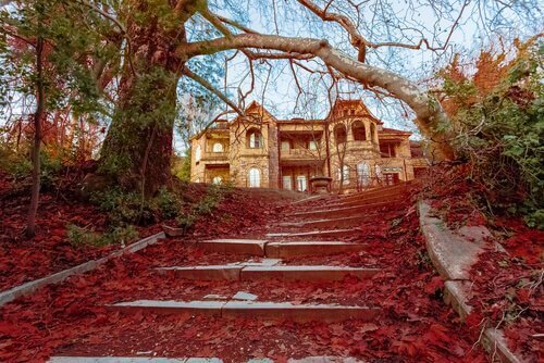 Et palads, hvor en abe angreb en konge