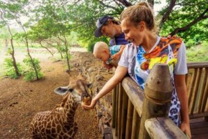 At fodre dyr i zoologiske haver kan forgifte dem