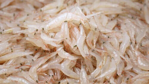 mange krill i en bunke