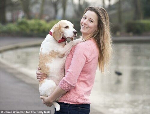 Eksempel på at redde en hund