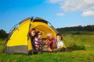 Camping med hunde og børn