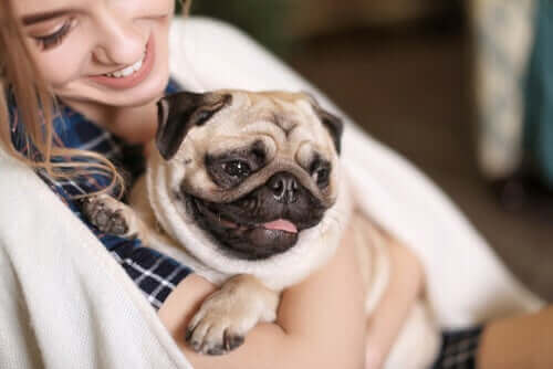 En hund krammes af kvinde