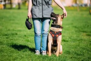 Trænede hunde versus konfliktmæglende hunde