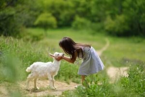 Pasning af geder: 4 ting, du skal vide