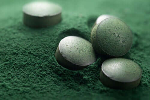 Er spirulina til hunde en god idé?