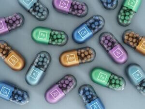 Syntetiske vitaminer og mineraler i hundefoder